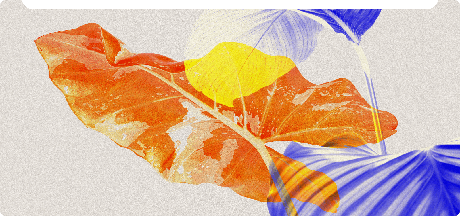 画像からプロンプトを生成するAI